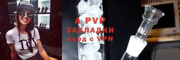 спиды Белокуриха