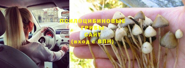 спиды Белокуриха