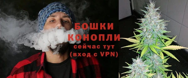 прущие грибы Балабаново