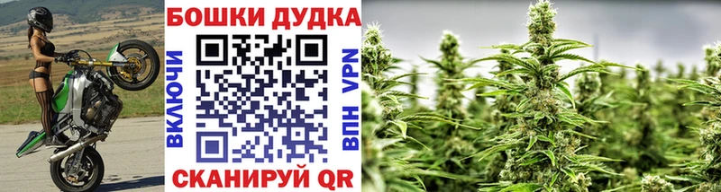 дарнет шоп  Кувшиново  Конопля SATIVA & INDICA 